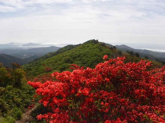 徳仙丈山・大森山hiku