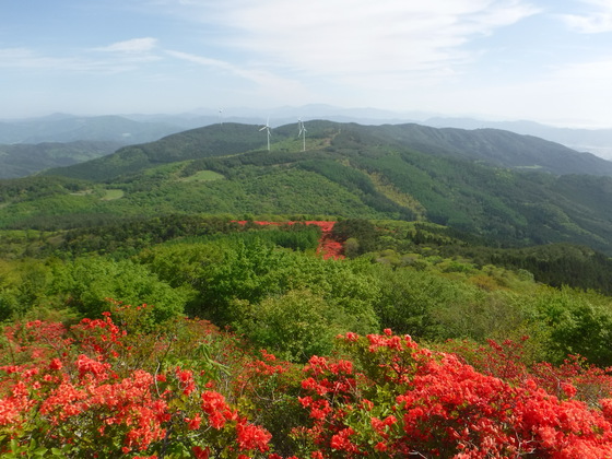 徳仙丈山・大森山hiku