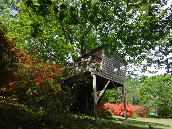 徳仙丈山・大森山hiku