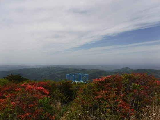 徳仙丈山・大森山hiku