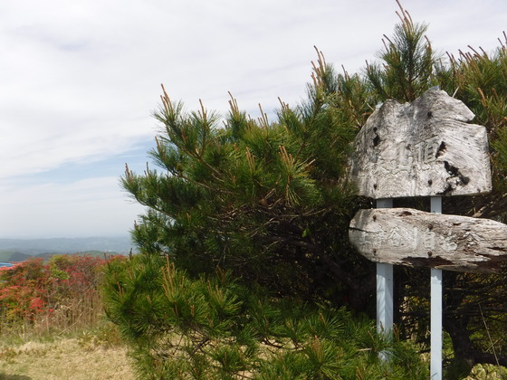 徳仙丈山・大森山hiku