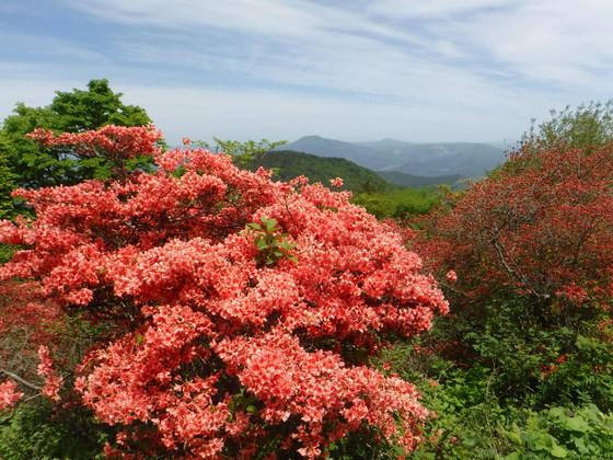 徳仙丈山・大森山hiku