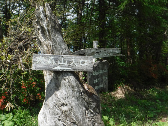 徳仙丈山・大森山hiku