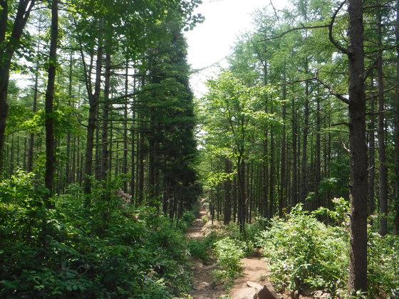 泉ヶ岳hike