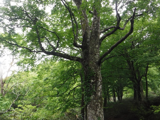 船形山hike