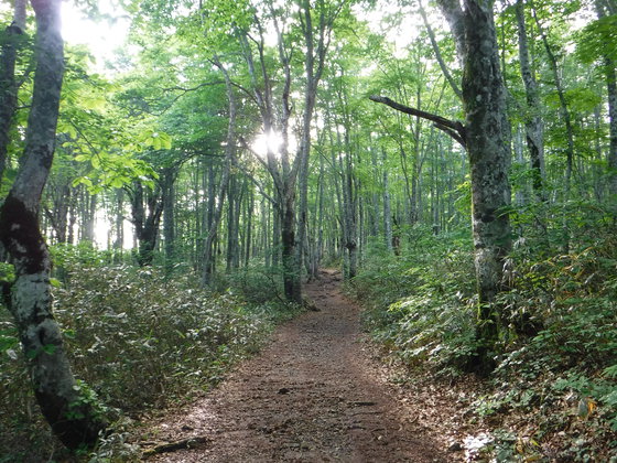 磐梯山hike