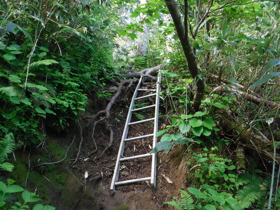 後烏帽子岳hike