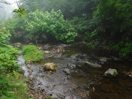 後烏帽子岳hike