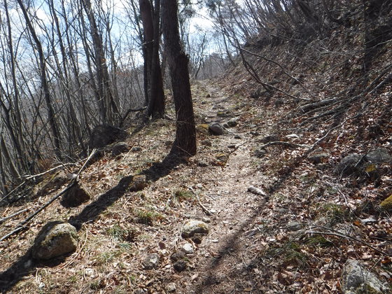 白沢五山hike