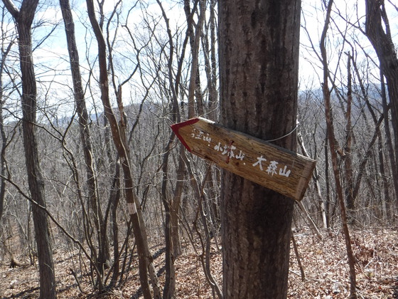 白沢五山hike