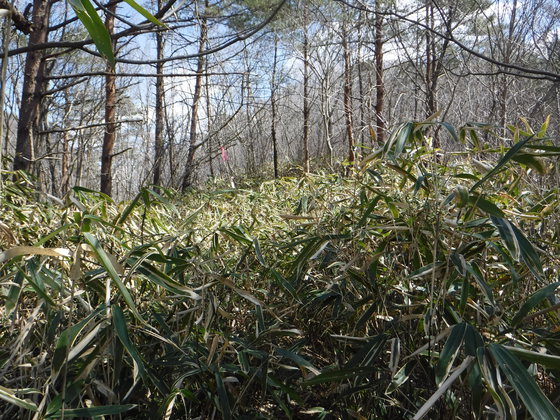 白沢五山hike