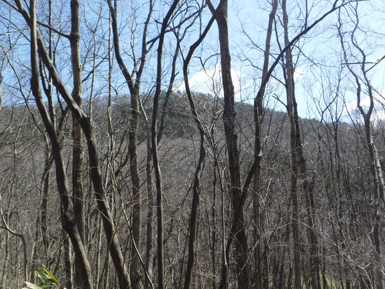 白沢五山hike