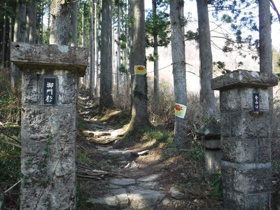 笹倉山hike
