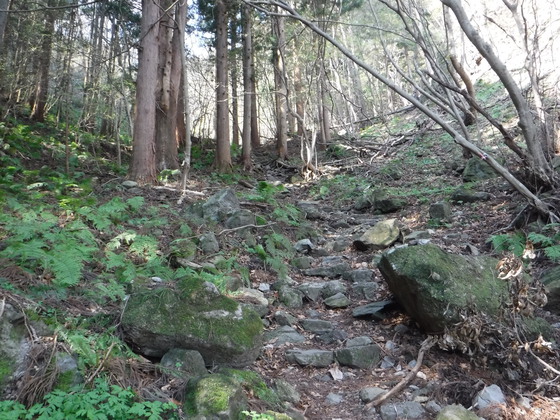 笹倉山hike