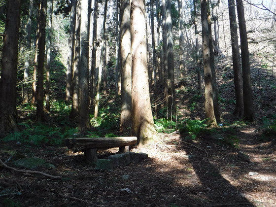 笹倉山hike