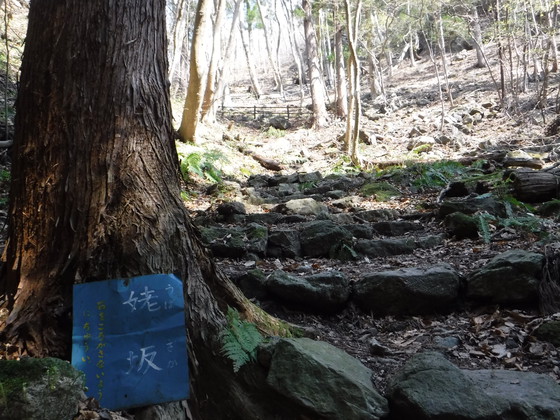 笹倉山hike