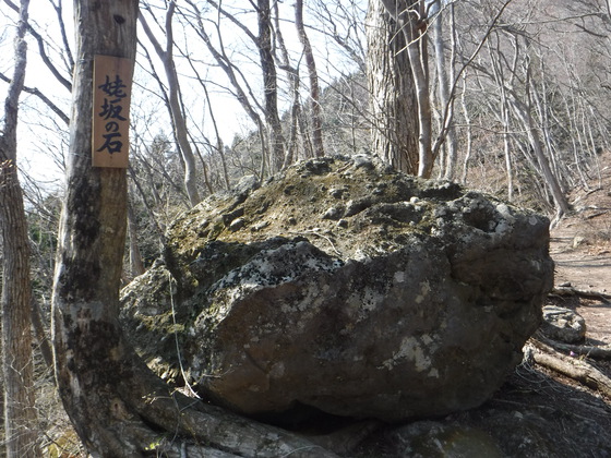 笹倉山hike