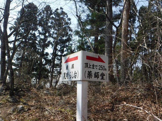 笹倉山hike