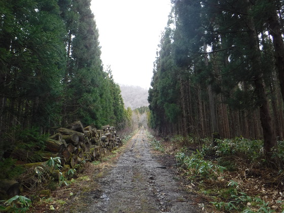 荒雄岳hike
