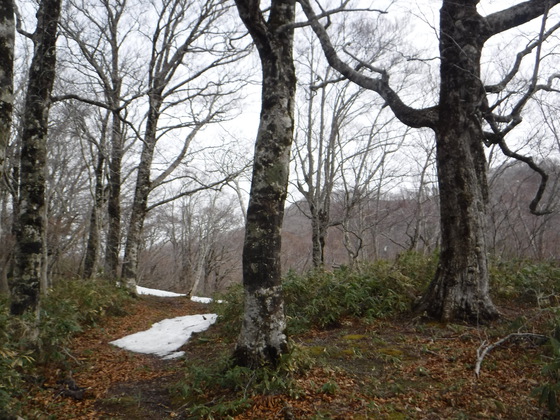 荒雄岳hike