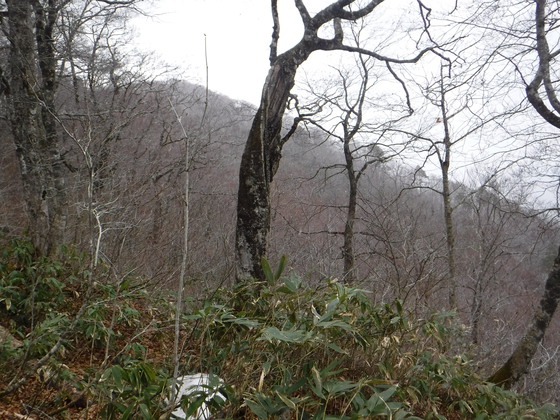 荒雄岳hike