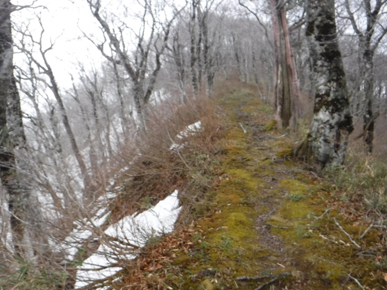 荒雄岳hike