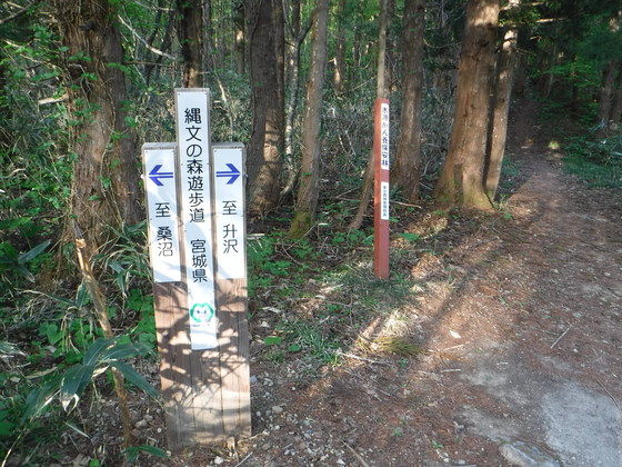 氾濫原hike