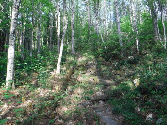 氾濫原hike