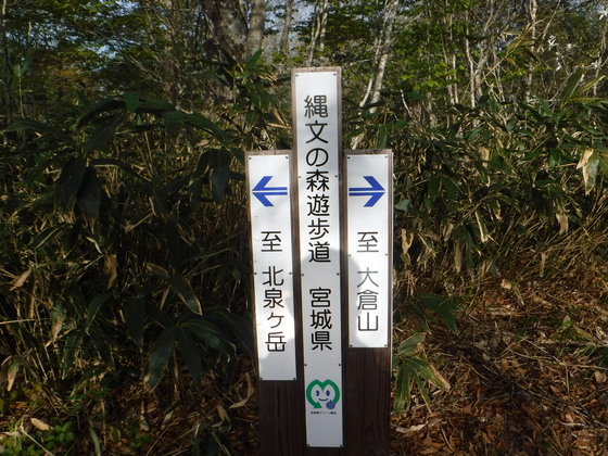 氾濫原hike