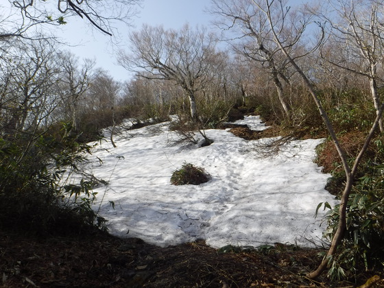 氾濫原hike