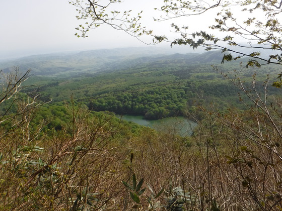 氾濫原hike