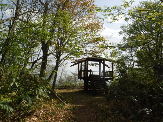 氾濫原hike