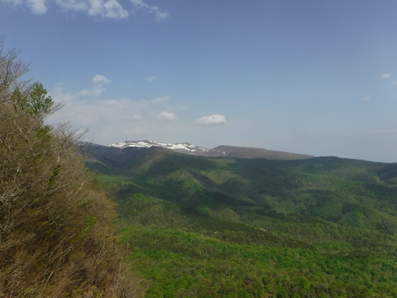 氾濫原hike