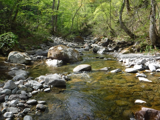 氾濫原hike
