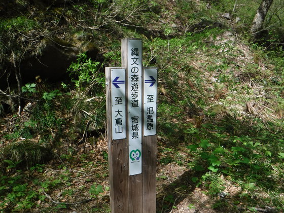氾濫原hike