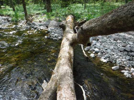 氾濫原hike