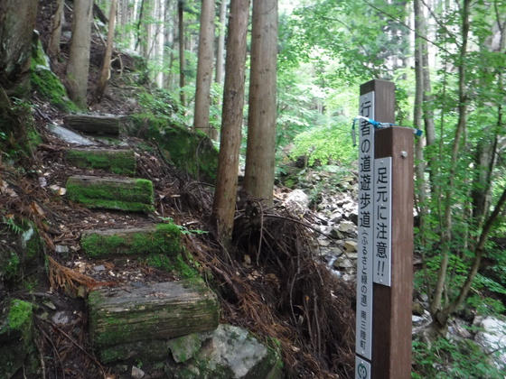 田束山hike