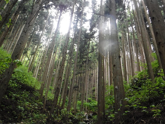田束山hike