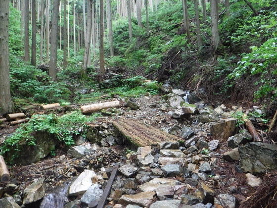 田束山hike
