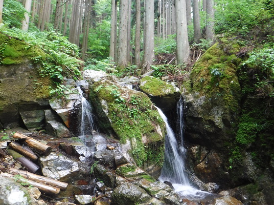 田束山hike