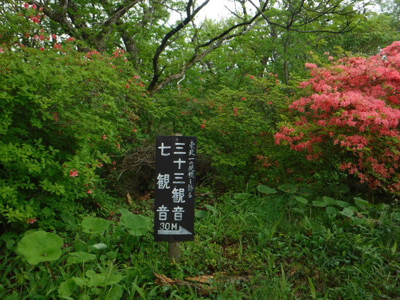 田束山hike