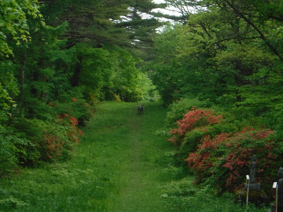 田束山hike
