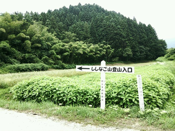 シシナゴハイク