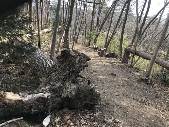 太白山hike