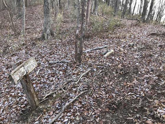 釜房山hike