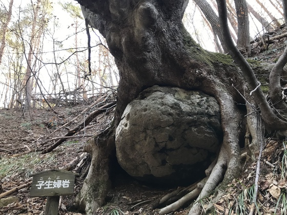 御駒山、大土ヶ森hike
