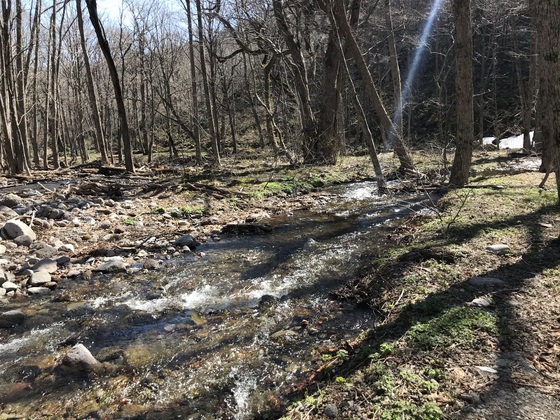 氾濫原(大倉山)hike