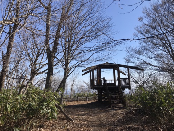 氾濫原(大倉山)hike