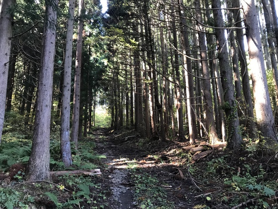 寒成山hike