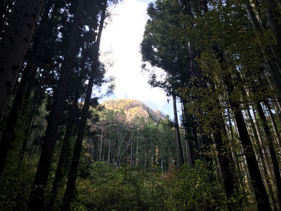 寒成山hike